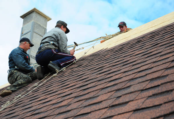 Gutter Installation and Roofing in Grove Hill, AL